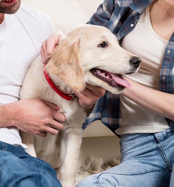 Može li pas imati zadnju riječ?