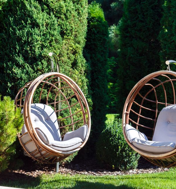 Tuje u dvorištu stvaraju predivan zeleni ugođaj