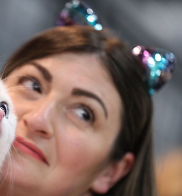 Svjetska izložba mačaka