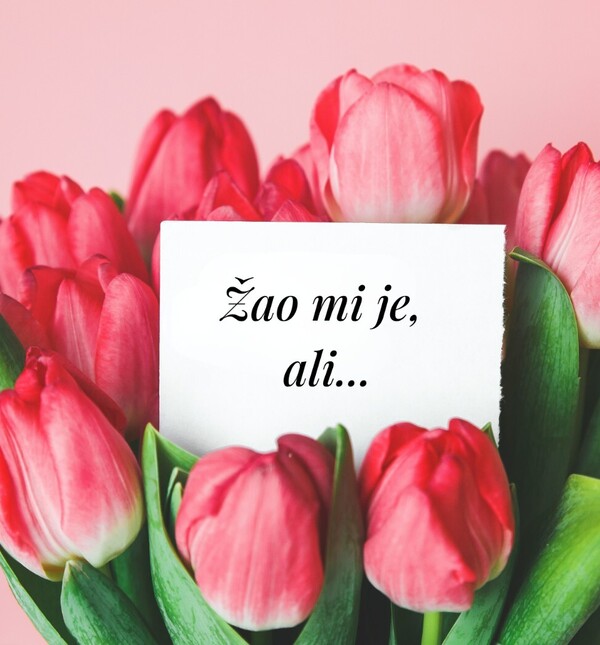 Ovako ne zvuči iskrena isprika