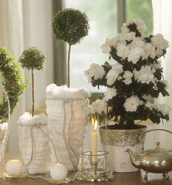 ''Golo zelenilo'' popularan je način dekoriranja ove godine (Foto: Living4media).