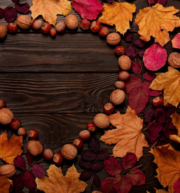 Lišće i jesenski plodovi