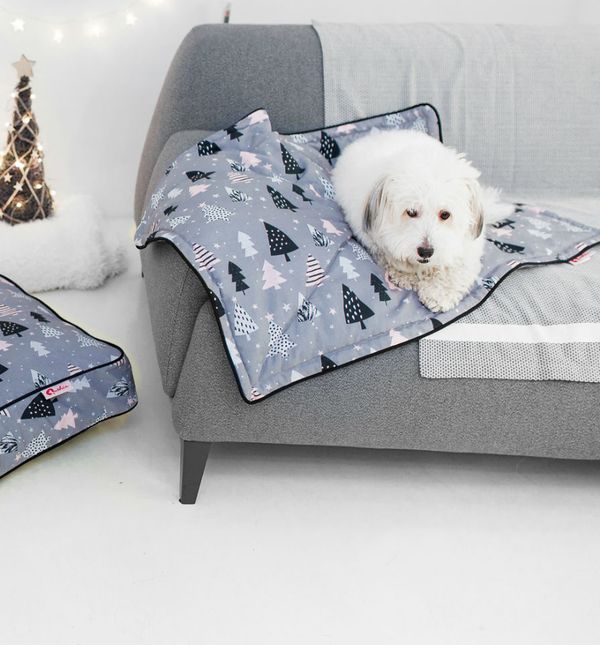 Od svakog prodanog proizvoda Qushin daruje 5 kuna Udruzi za zaštitu i dobrobit životinja Indigo.(Foto: Zadovoljna.hr)