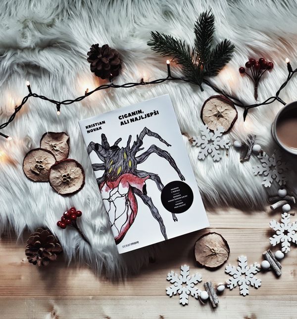 'Ciganin, ali najljepši' Kristiana Novaka