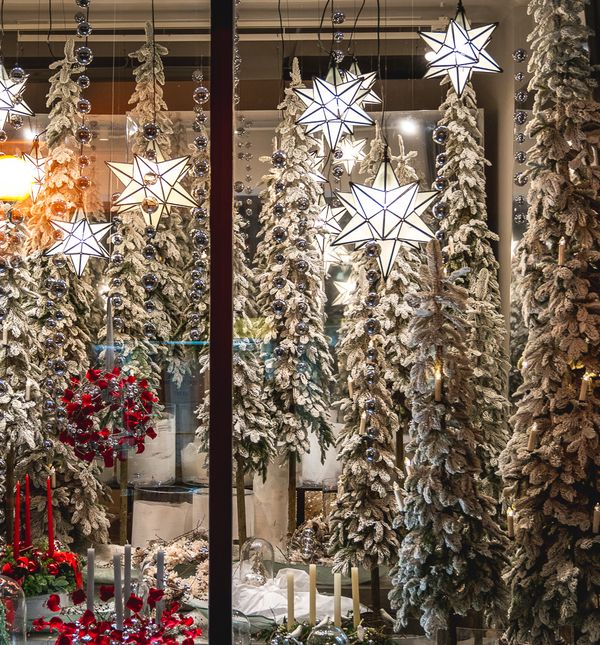 Božićno uređenje izloga cvjetne galerije Saše Šekoranje