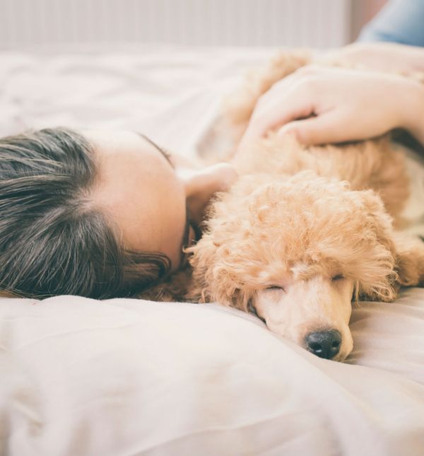 Psi imaju pozitivan učinak na kvalitetu sna