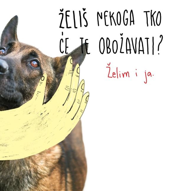 Hana Tintor (pas Kekec)