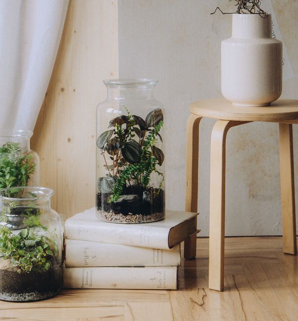 Shamai Grin je hrvatski brend koji kreira samoodržive bukete minimalističkog dizajna