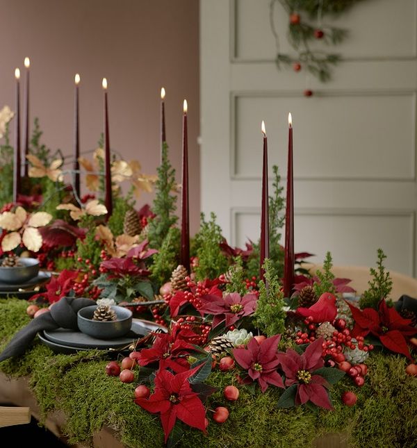 Božićne zvijezde mogu se uklopiti u uređenje svakog doma