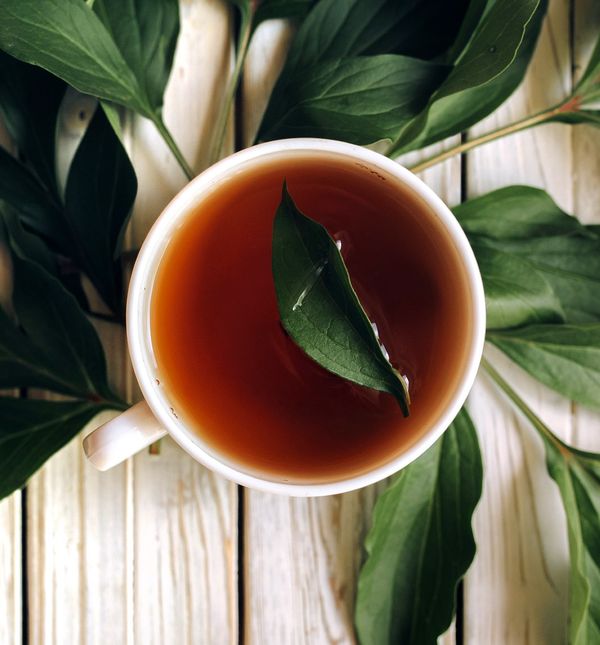 U liječenju upale mjehura pomažu i sastojci iz prirode