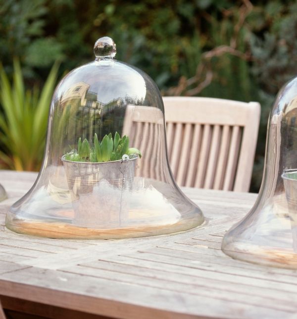 Stakleno zvono jedan je od načina na koji možete zaštititi biljke od prvog mraza