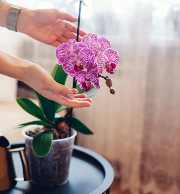 Sretni ljudi žive u sadašnjem trenutku