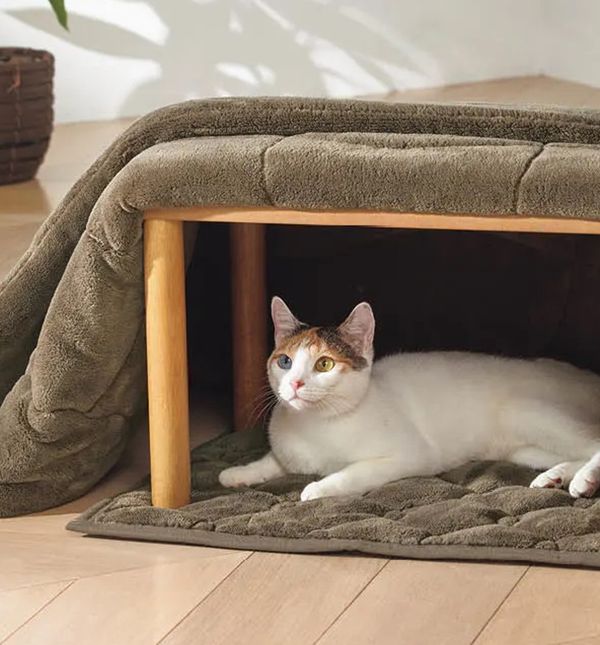 Deka za mačke i pse koja grije na specijalan način