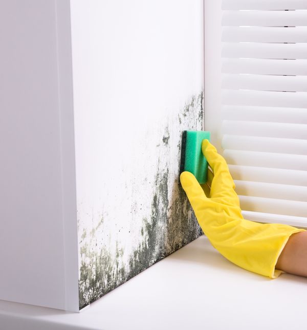 Na internetu možemo pronaći brojne savjete za čišnjenje plijesni, a jedan od njih je pasta za zube