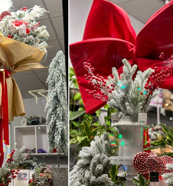 Božićni izlog Slavena Pavlovića