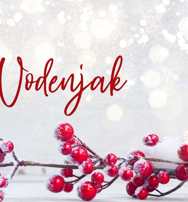 Mjesečni horoskop za prosinac