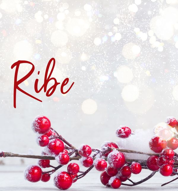 Mjesečni horoskop za prosinac