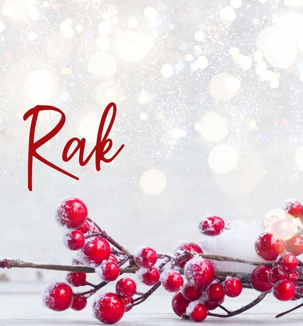 Mjesečni horoskop za prosinac