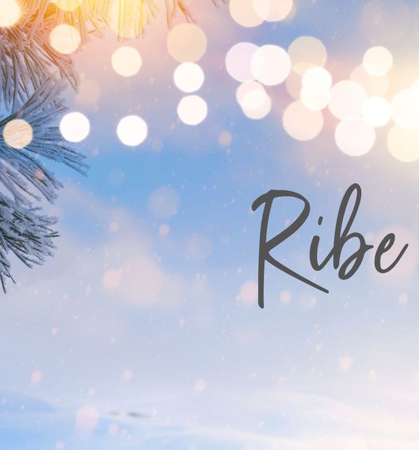 Tjedni horoskop za prosinac - 4