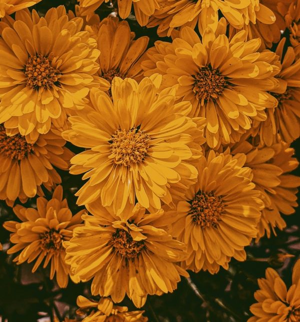 Rođeni u studenom često posjeduju unutarnju složenost