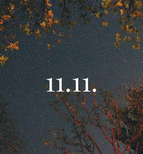 11.11.