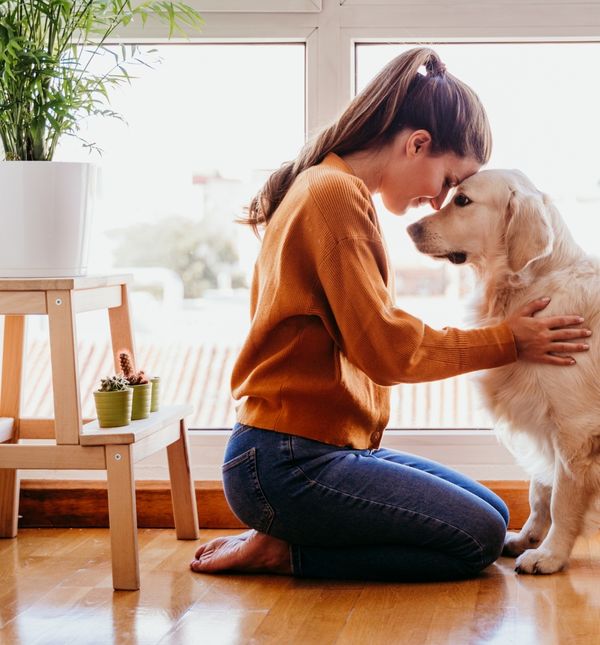 Psi i njihovi vlasnici često dijele određene osobine
