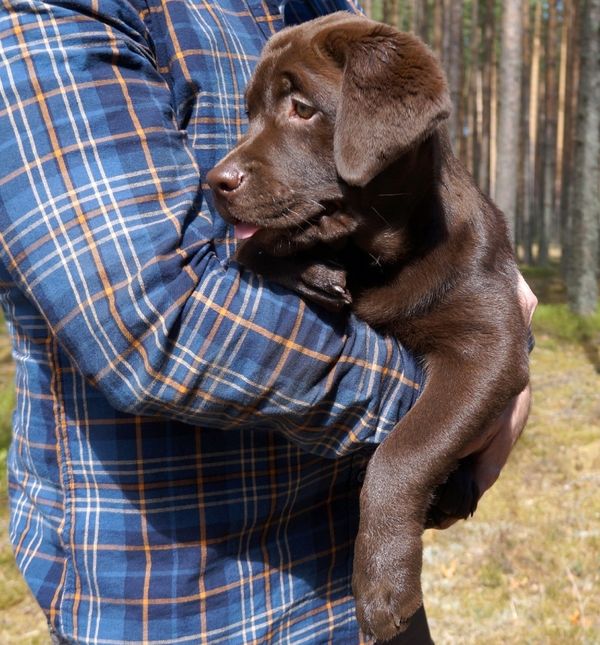Emocionalno inteligentan muškarac nije slab, upravo suprotno