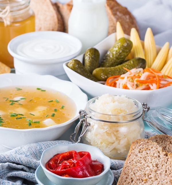 Hrana puna postbiotika od velike je važnosti za organizam