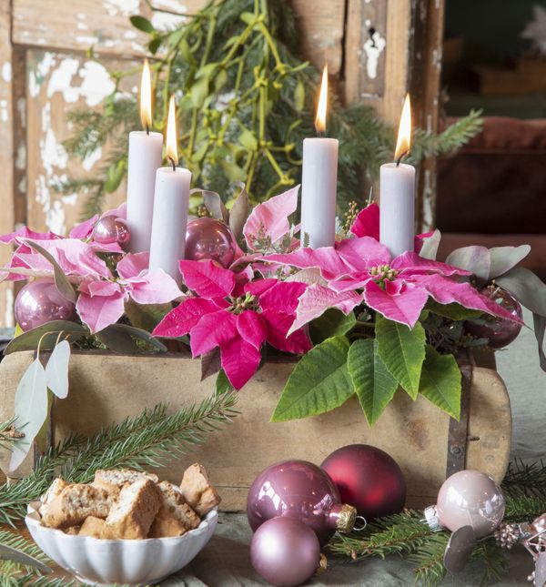 Adventski vijenac ukrašen božićnom zvijezdom