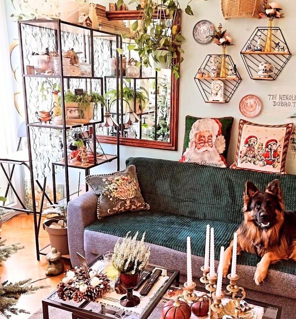 Stan Sonje Vranić iz Novog Sada izgleda poput male zemlje čuda