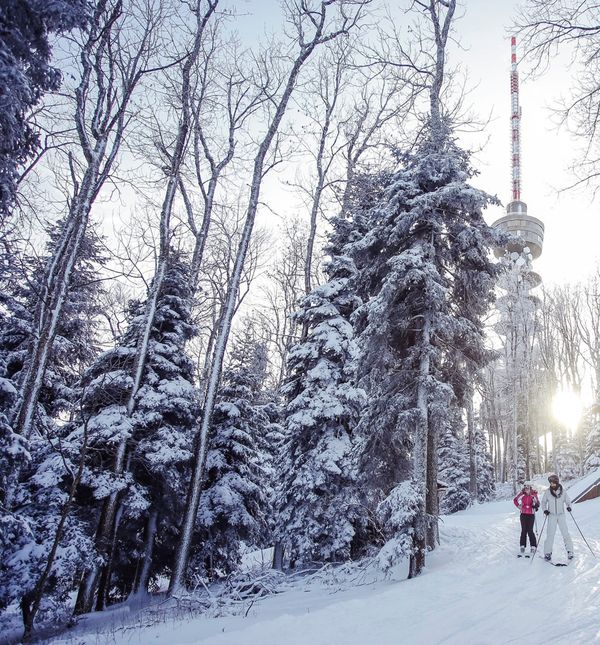 Sljeme čeka sve zainteresirane za ovaj događaj