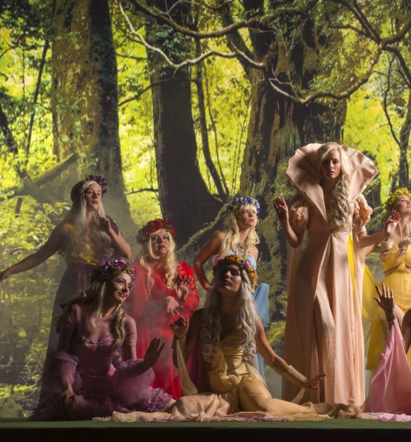 Trnoružica i cvjetne vile (Foto: Damir Kalogjera/PR)