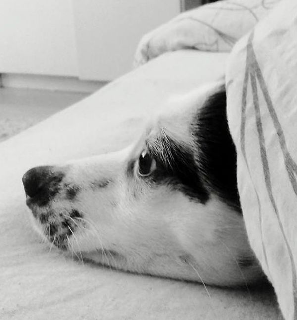 Svime što je činila, Bella je u potpunosti preokrenula moj život