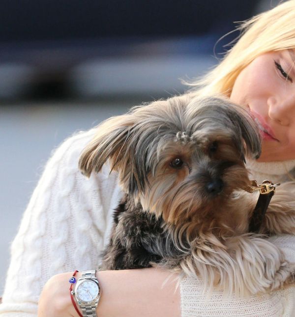 Joanna Krupa sa svojim udomljenim psićem