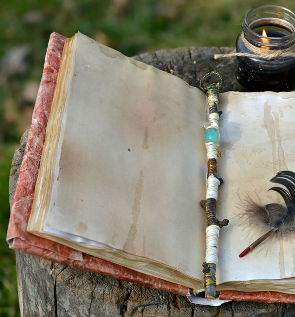 Stari Kelti u drveću su vidjeli samu srž svemira i vjerovali da su ona izvor beskrajne mudrosti