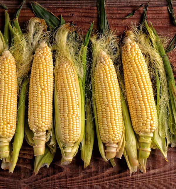 Ne bacajte svilene niti kukuruza