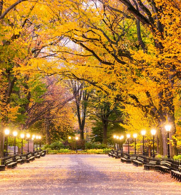 Central Park u New Yorku osvaja svojom ljepotom i prirodom