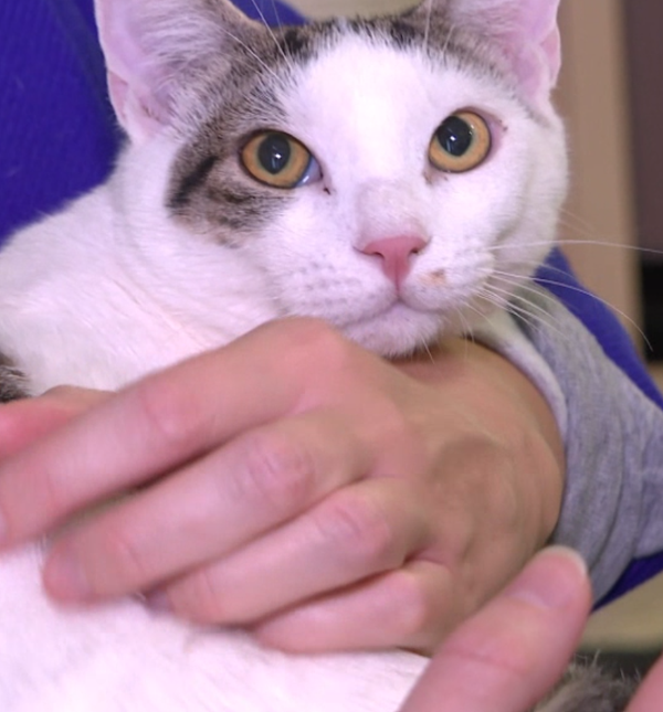 Mia Kovačić spasila i udomila Spocka