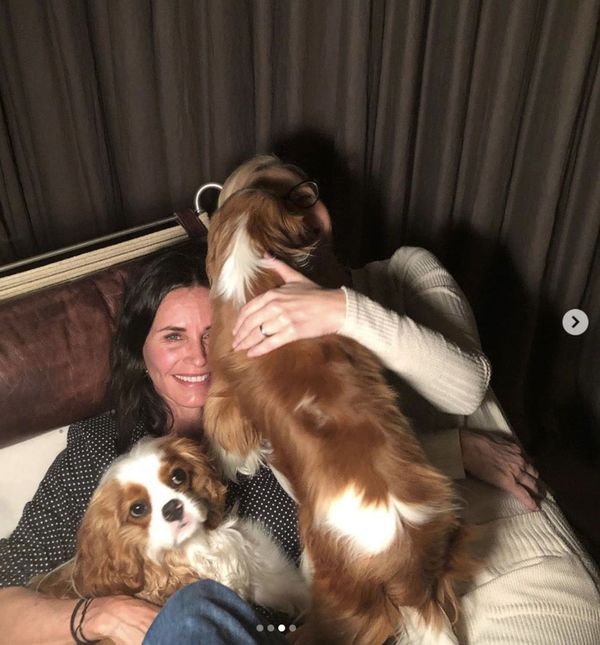 Courteney Cox i Lisa Kudrow s psima