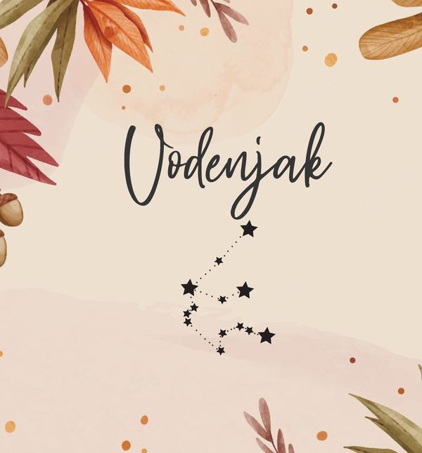 Vodenjak, horoskop za studeni