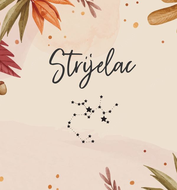 Strijelac, horoskop za studeni