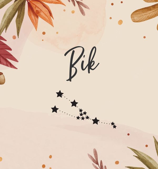 Bik, horoskop za studeni