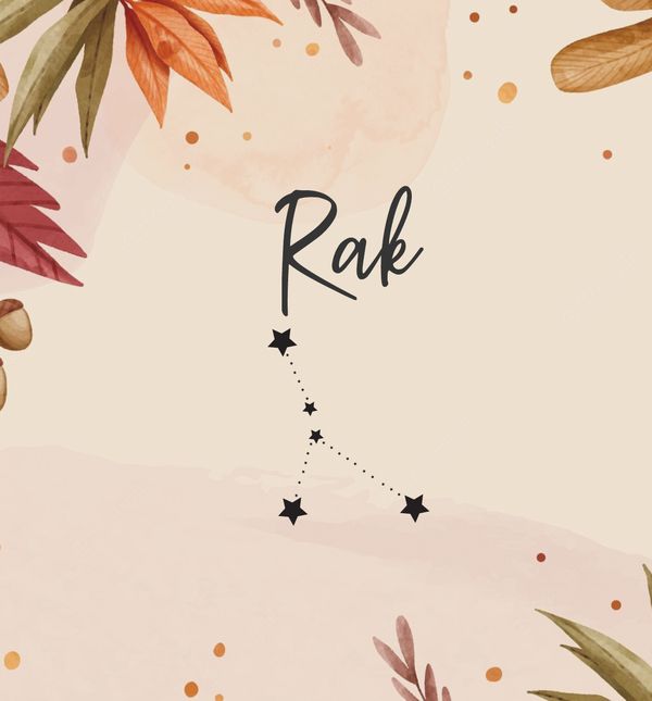 Rak, horoskop za studeni