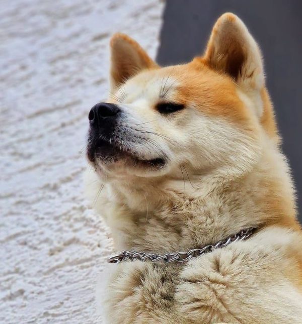 Predivne akite naših čitateljica