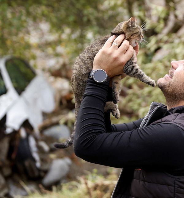 Volonter je u selu Zlate u Bosni i Hercegovini iz ruševina spasio mačku