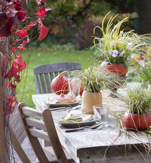 Bundeva kao držač za biljke