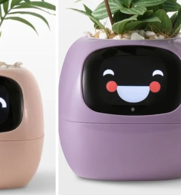 Plantagotchi posude veliki su hit