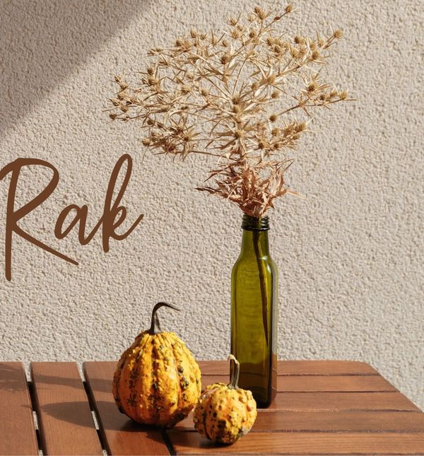 Mjesečni horoskop za studeni