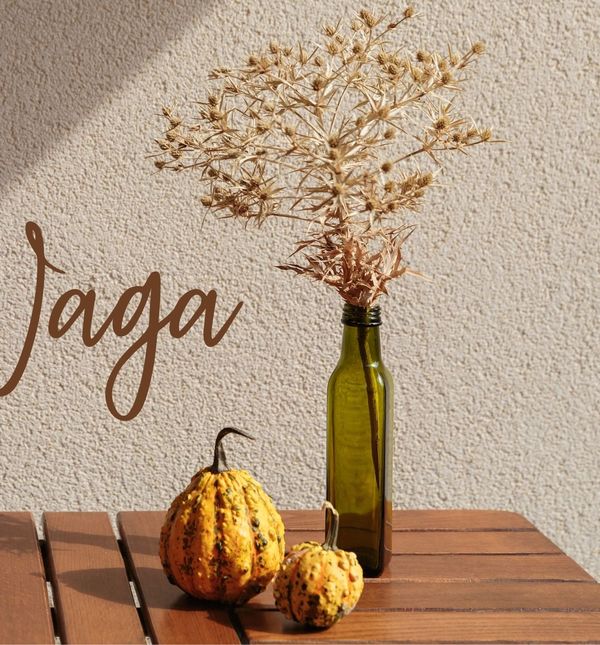 Mjesečni horoskop za studeni