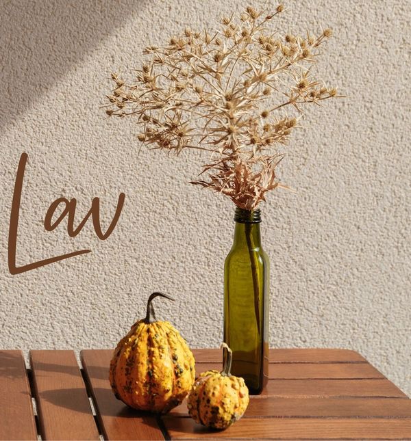 Mjesečni horoskop za studeni